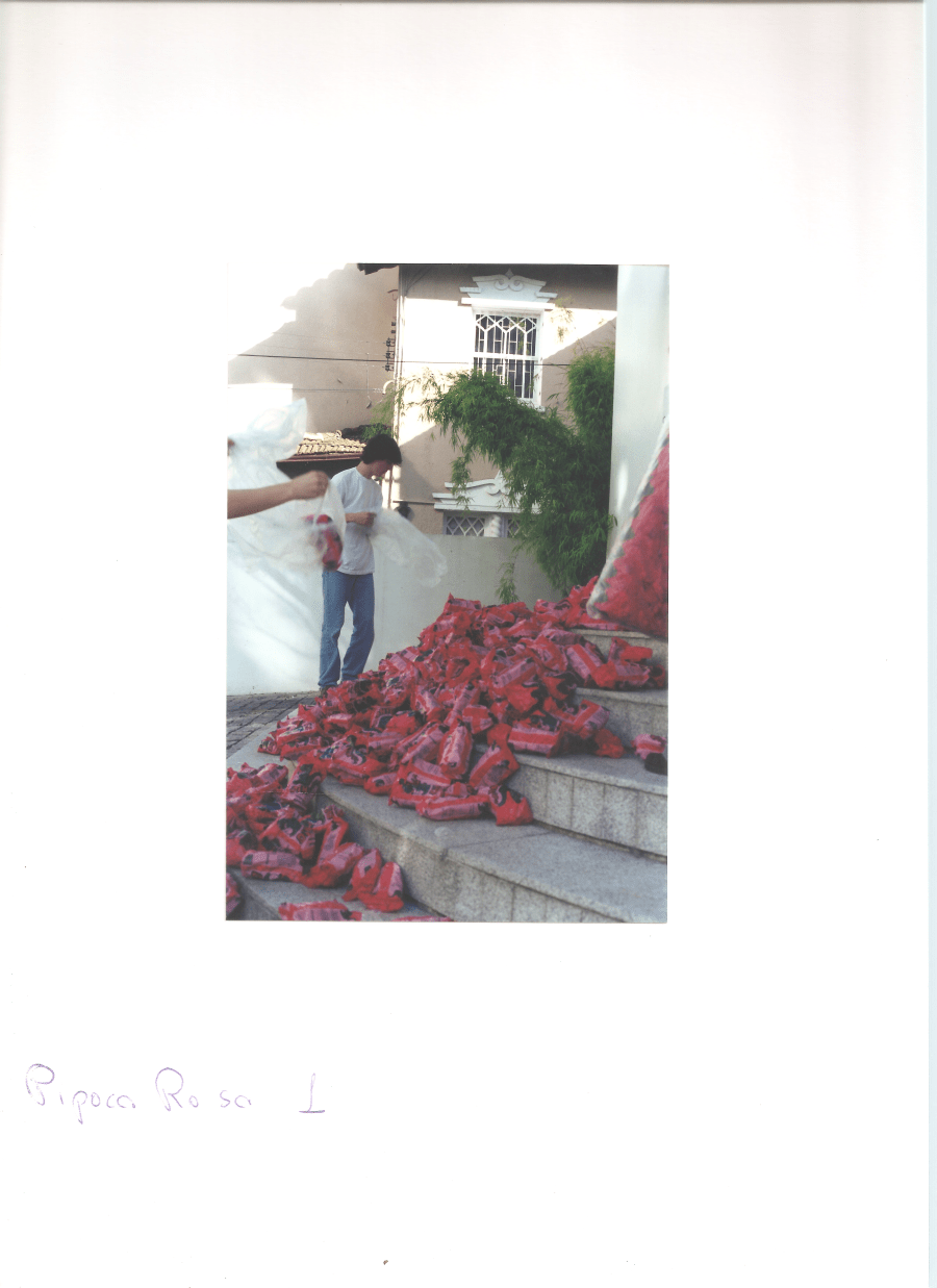 AnyConv.com__PIPOCA ROSA_2000_Foto registro 4